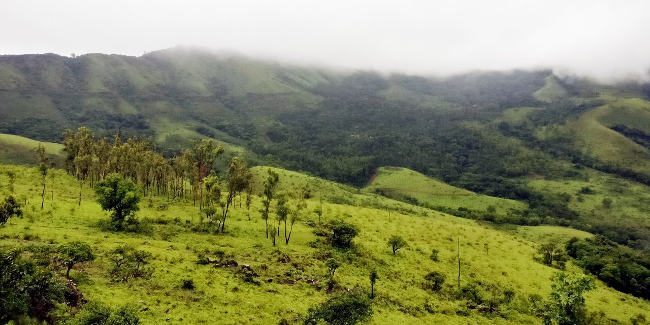 Plan a two days trip from Bangalore to the coffee land of Chikmagalur